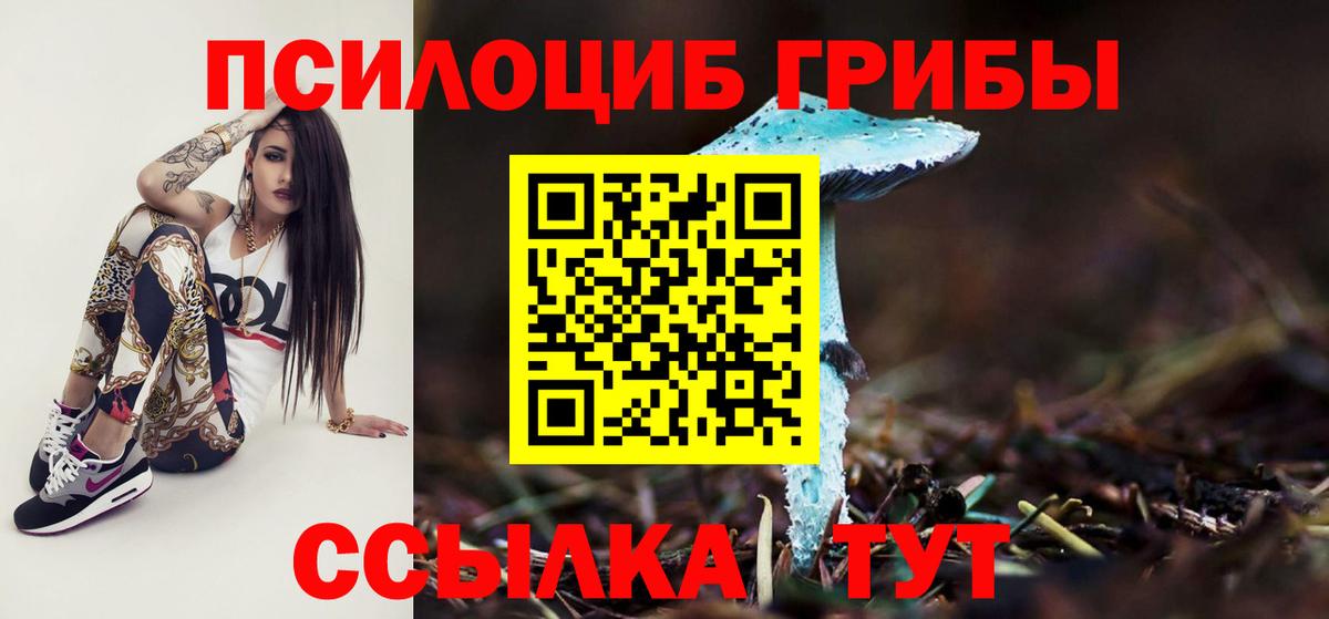 Галлюциногенные грибы мицелий Кинель