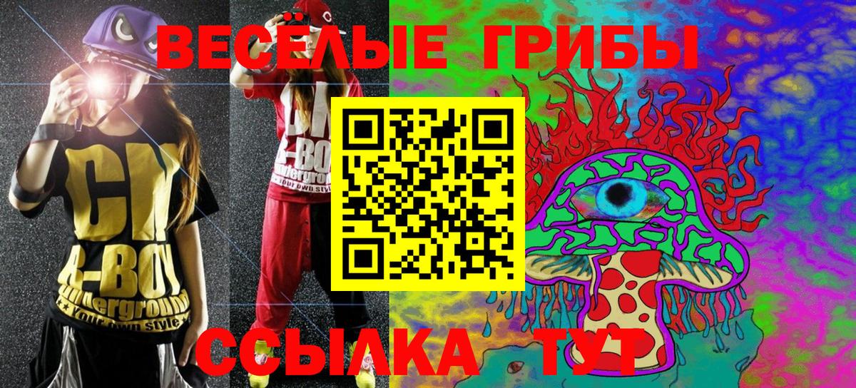 закладки  Галлюциногенные грибы GOLDEN TEACHER  Вход с VPN  Кинель 