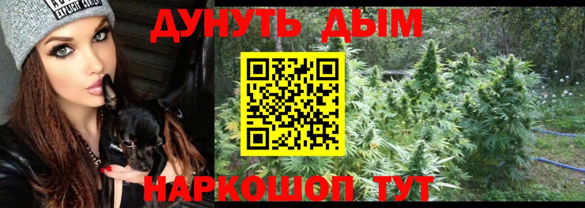 Кинель  Бошки марихуана семена  Бошки марихуана Ganja  Бошки Шишки сатива  Вход с VPN 